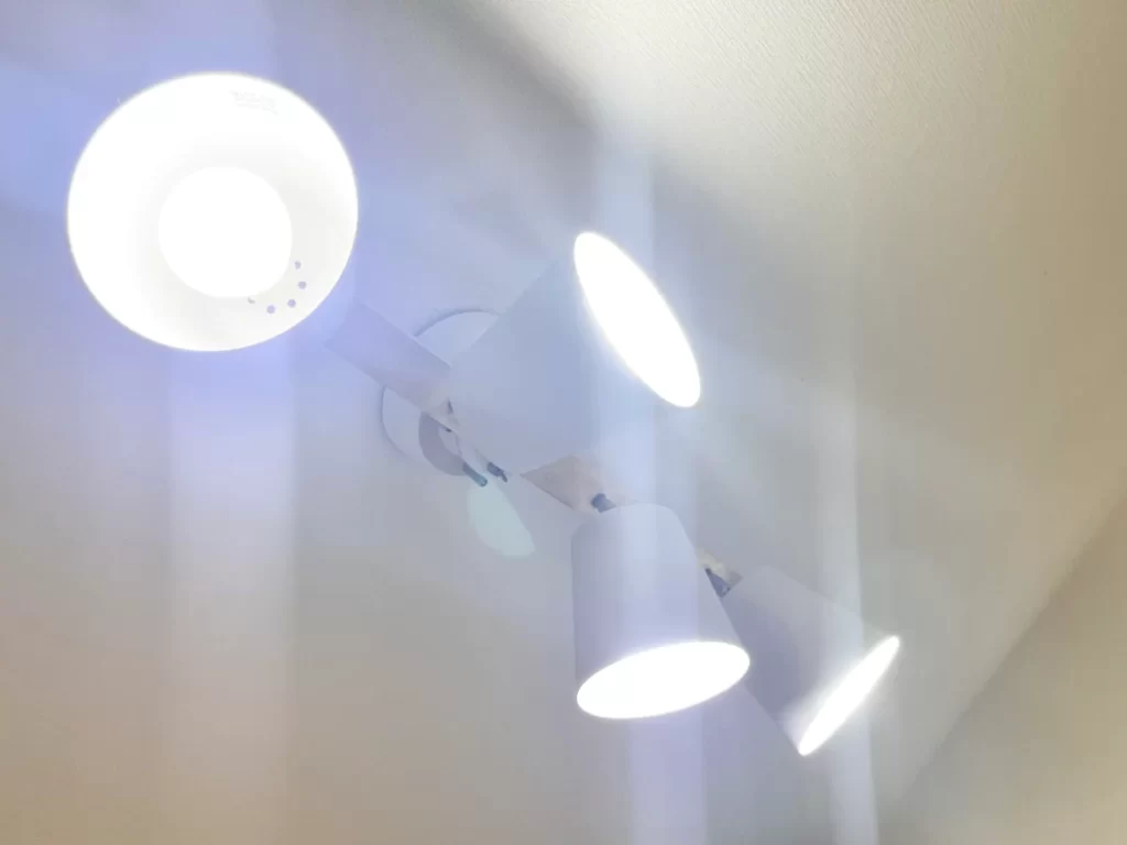 白熱灯のライトの色